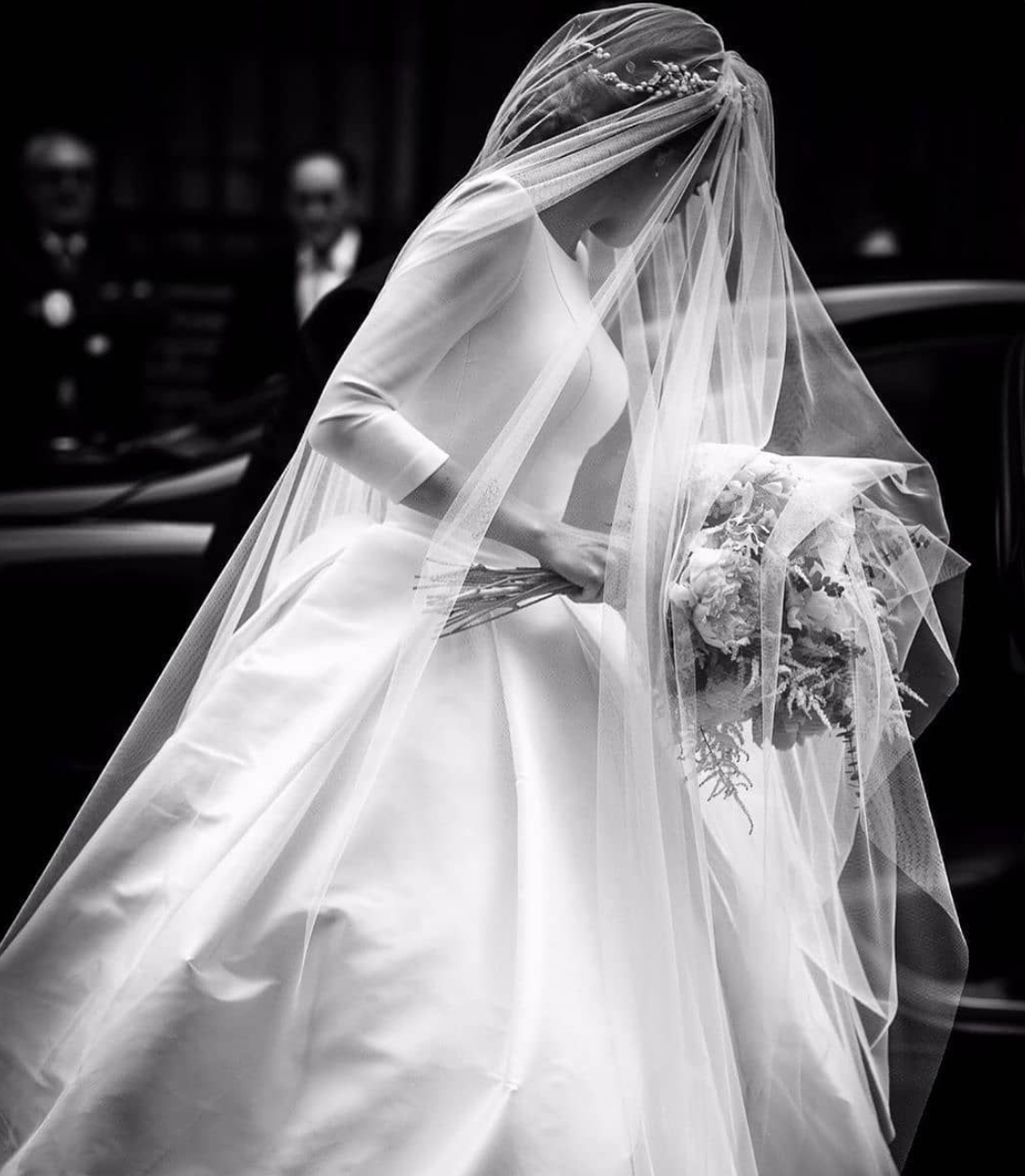 Veiled Bride Silhouette
