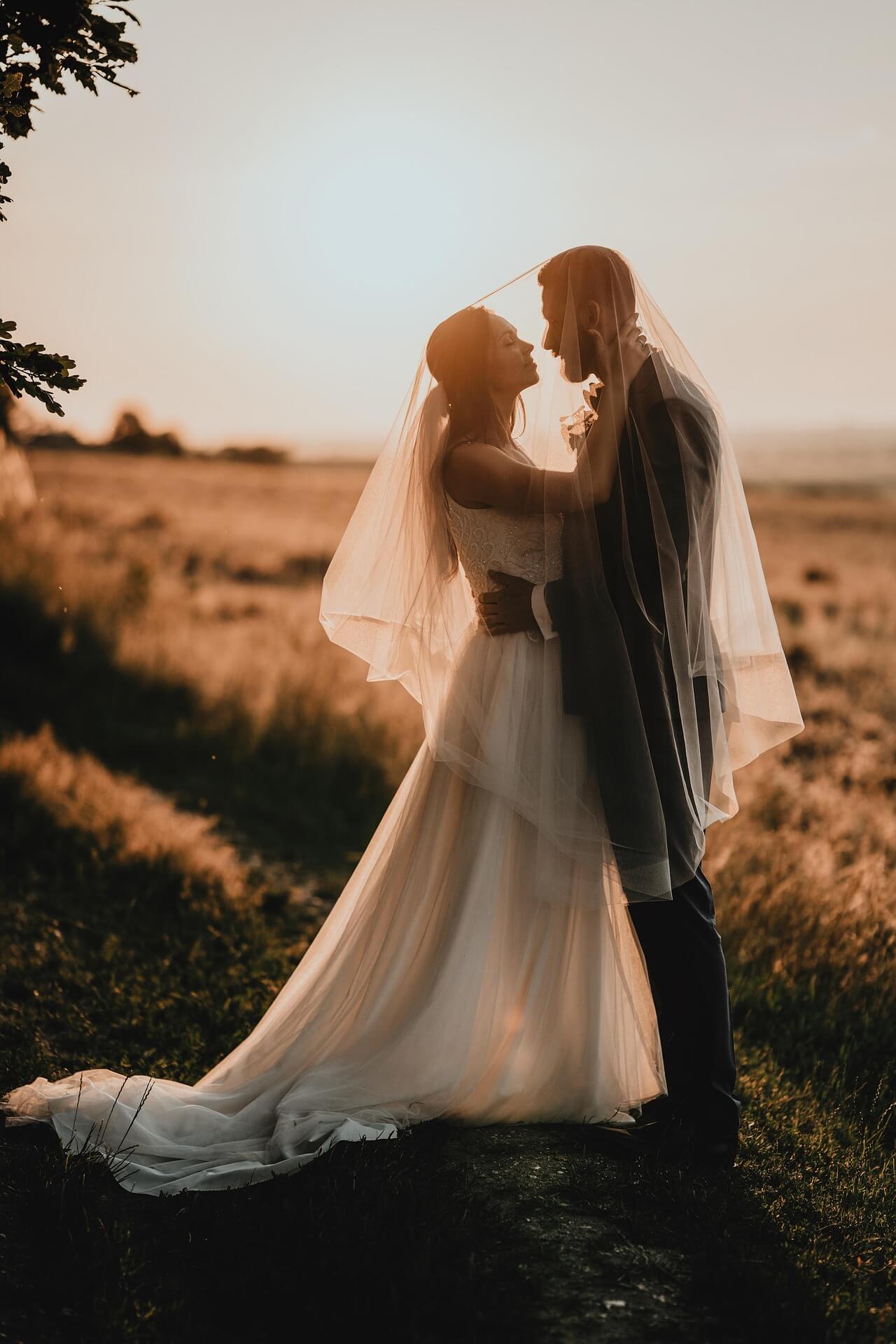 Mariée dans les champs · Provence